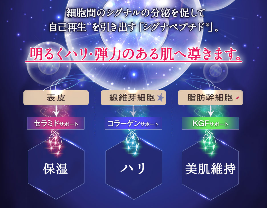 シグナリフトのシグナペプチド